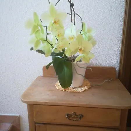 ホームステイ Haus Heckenrose