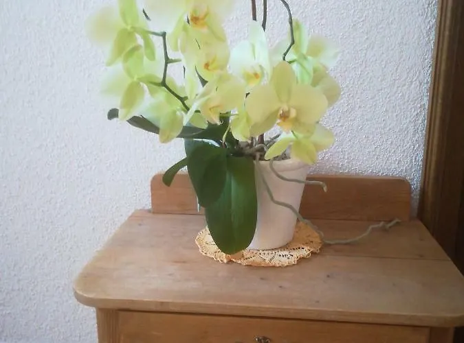 Homestay szállás Haus Heckenrose